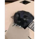gatito negro 20