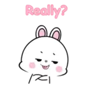 Lovely Rabbit 11 MOV. 16