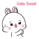 Lovely Rabbit 11 MOV. 2