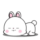 Lovely Rabbit 11 MOV. 8