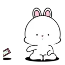 Lovely Rabbit 11 MOV. 9