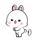 Lovely Rabbit 11 MOV. 13