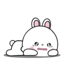 Lovely Rabbit 11 MOV. 20