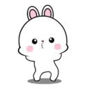 Lovely Rabbit 11 MOV. 23