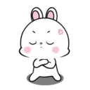 Lovely Rabbit 11 MOV. 10