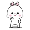 Lovely Rabbit 11 MOV. 6