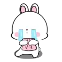 Lovely Rabbit 11 MOV. 21