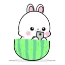 Lovely Rabbit 12 MOV. 4