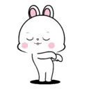Lovely Rabbit 12 MOV. 2
