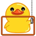 Duck (part 2) 3