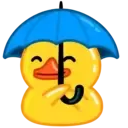 Duck (part 2) 5
