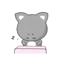 lovely cat 19
