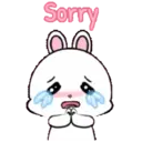 Lovely Rabbit 12 : Animated 21