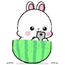 Lovely Rabbit 12 : Animated 8