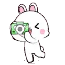 Lovely Rabbit 12 : Animated 15