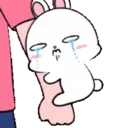 Lovely Rabbit 12 : Animated 17