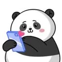 Pandall mov 17