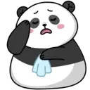 Pandall mov 6