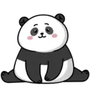 Pandall mov 18