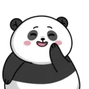 Pandall mov 15