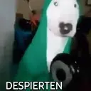 Variados✥6 Movi 3