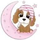 A Dormir Cute ✺1 6