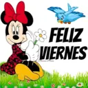 Buenas noches y mañana es viernes 11