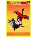Dragón Ball 1 Clásica 13