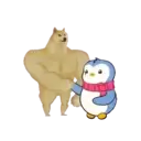Pinguone 11