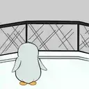 Pinguone 23