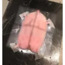 Puercoespín 1