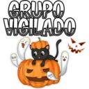 GRUPO
VIGILADO
ම