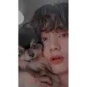 BTS 26