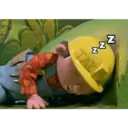 N N N TAZ ZADE