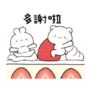 迷你熊兔寶日常美味食用 18
