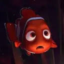 Peces 2 Movi 10