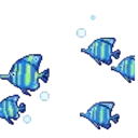 Peces 2 Movi 14