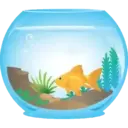 Peces 2 Movi 16