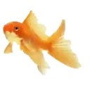 Peces 2 Movi 4
