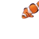 Peces 2 Movi 5
