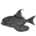 Peces 2 Movi 25