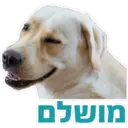 Pets Are Pawsome 3