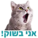 Pets Are Pawsome 7