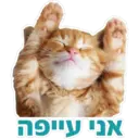 Pets Are Pawsome 11
