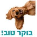 Pets Are Pawsome 2