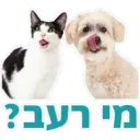 Pets Are Pawsome 9