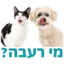 Pets Are Pawsome 8