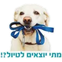 Pets Are Pawsome 4