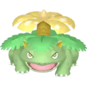 Pokemon 1-9 5