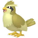 Pokemon 9-18 25